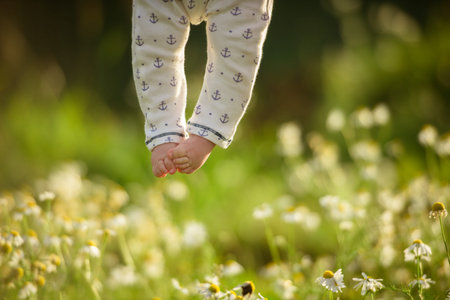 Baby's legs on a summer field. First steps.の写真素材