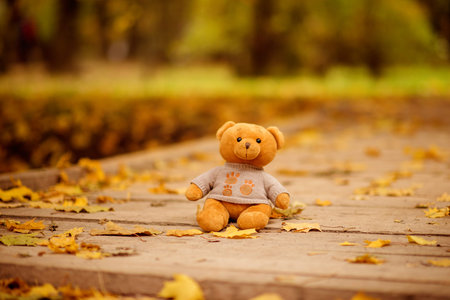 teddy bear sits on a wooden bridge. Autumn in the park. Many maple leaves on the ground