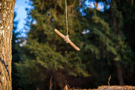 homemade bungee - swing in the forest. rope and stick for funの写真素材