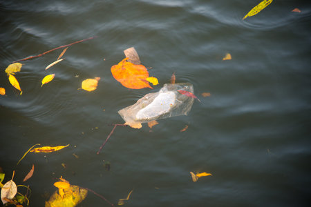 plastic bag floating in the water. Environmental contaminationの写真素材