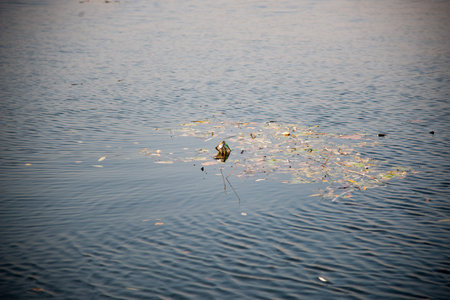 garbage bag of chips or biscuits floating in the water. Environmental contamination
