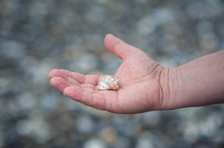 A seashell lies on an open palm on a neutral background