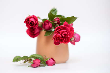 red garden roses in a beige vase on a neutral backgroundの写真素材