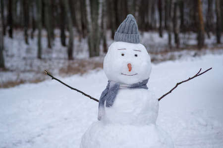 Snowman. Winter weather with snow.の写真素材