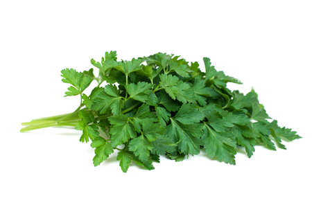 Parsley isolated on white backgroundの写真素材