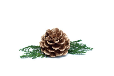 Christmas cone with sprigs of Christmas tree on white backgroundの写真素材