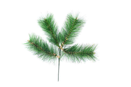 branch of an artificial Christmas tree on a white backgroundの写真素材