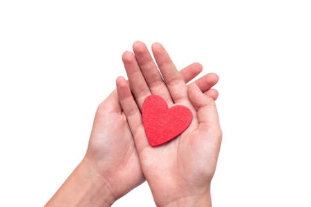 Two hands hold a heart made of wood on a white backgroundの写真素材
