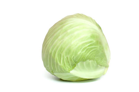 White cabbage on a white backgroundの写真素材