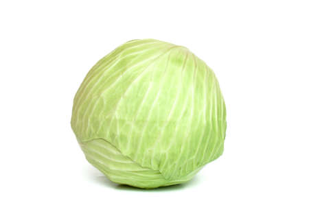 White cabbage on a white backgroundの写真素材