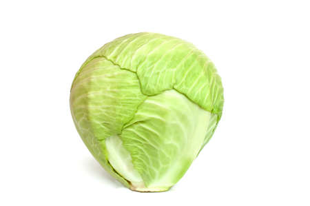 White cabbage on a white backgroundの写真素材