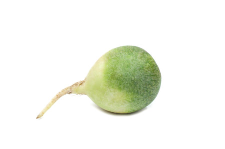 Fresh green radish on white backgroundの写真素材