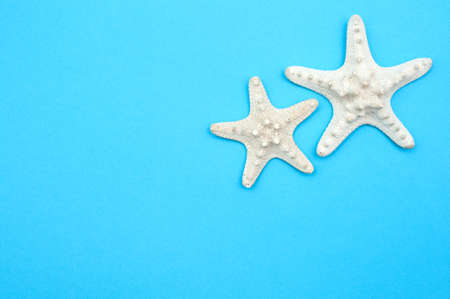 Travel background. Starfishes on a blue backgroundの写真素材