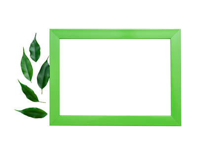 Green color frame and green leaves isolated on white backgroundの写真素材