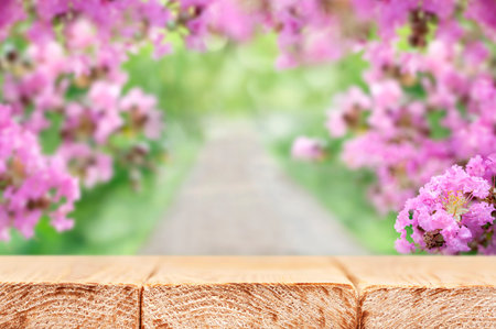 Spring background with empty wooden table and blooming garden viewの写真素材