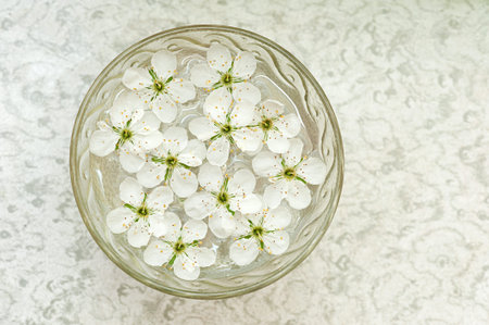White flowers on the water. abstract background