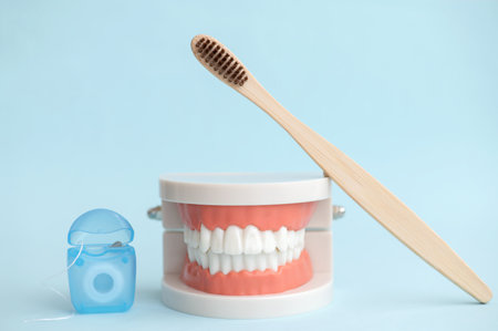 Model of a human jaw with white teeth, a dental bamboo brush and dental floss on a blue background. Orthopedic dentistry.Conceptual photo of dentistry.の写真素材