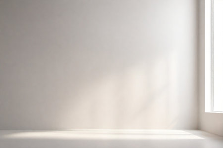 Empty room with white wall and sunlight. 3d render illustration.の素材