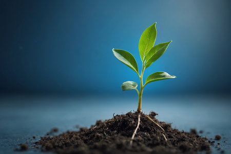 Green seedling illustrating concept of new life with blue background and copy spaceの素材