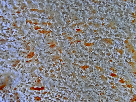 bread surface
