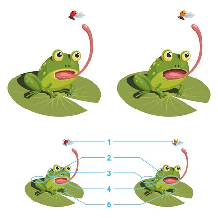 The frog is trying to catch a ladybug with its tongue. Find the five differences between the two pictures. Children's game picture is a riddle with a solution below.のイラスト素材