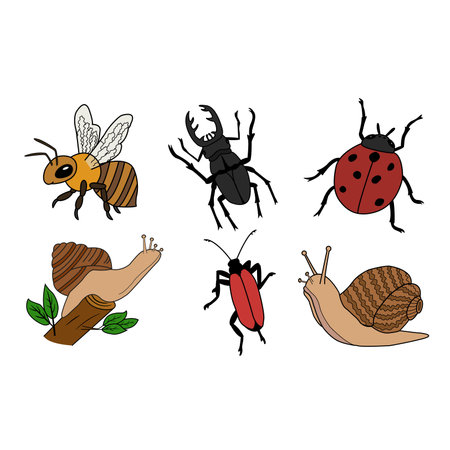 Set of Insects. Vector Cartoon Illustration of Bee, Snail, Ladybug, Red Beetle, Stag Beetleのイラスト素材