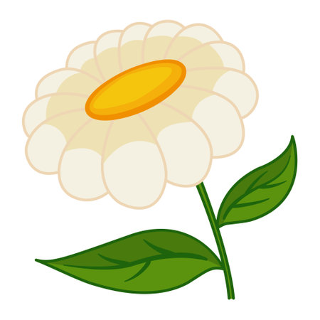 Cartoon Chamomile. Vector Illustration of a Cute Flowerのイラスト素材