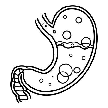 Stomach Disease for Coloring Pages. The Human Stomach is Full of Stomach Acid. Nausea, Belching, Acid Reflux. Vector illustration. Anatomy and Medicineのイラスト素材