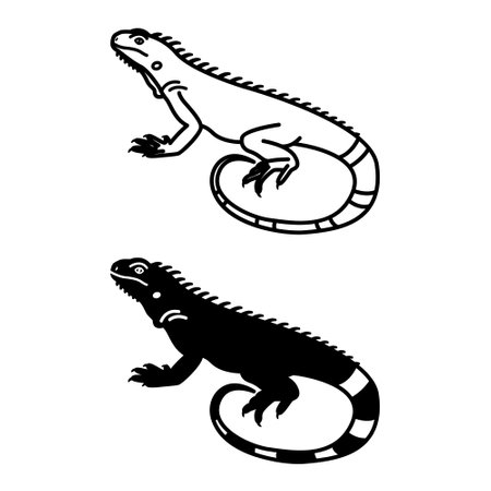 Iguana Icons. Black and White Vector Illustration. Large Tree Lizard. Domestic Pet. For Coloring Book Design. Pets Conceptのイラスト素材