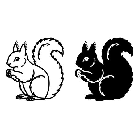 Squirrel Icons. Black and White Vector Illustrations. Mammal, Rodent, Forest Animal. Cute Fluffy Squirrel. For Coloring Book Design. Animal Conceptのイラスト素材