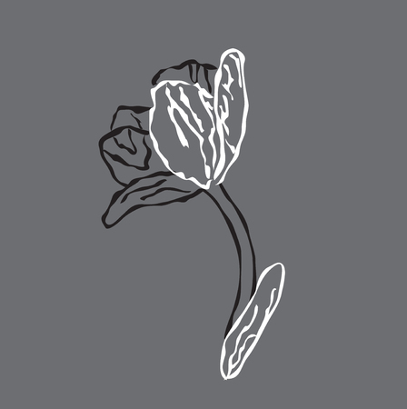 Flowers doodle sketch. Hand drawn vector illustration.のイラスト素材