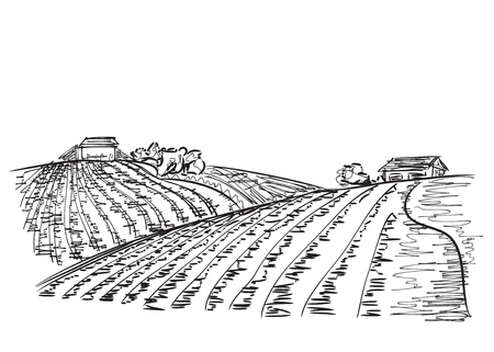 Landscape with Fields. Hand drawn Vector Illustrationのイラスト素材