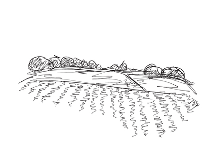 Landscape with Fields and trees. Hand drawn Vector Illustrationのイラスト素材