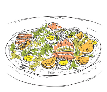 Hand drawn salad sketch. Doodles food illustrationのイラスト素材