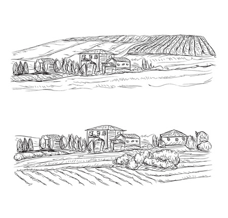 Landscape with Fields and Villages. Hand drawn Vineyardのイラスト素材