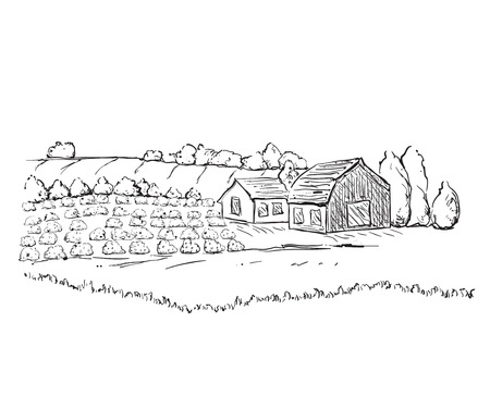 Hand drawn village houses sketch and fieldのイラスト素材