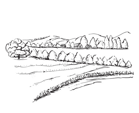 Hand drawn field sketch. Trees and fieldのイラスト素材