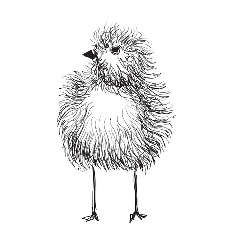 Hand drawn pencil graphics, chicken, chick Sketchingのイラスト素材