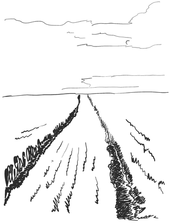 Vector illustration landscape nature with agrarian fields. Sketchのイラスト素材