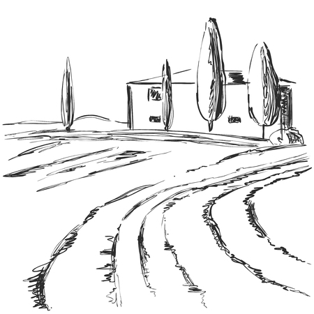 Hand made vector sketch of vineyard landscape. Fieldsのイラスト素材