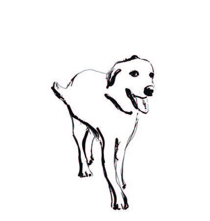 Hand drawn dog sketch. Monochrome logo. Ilustrationsのイラスト素材