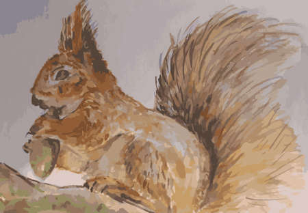 Squirrel eating nut in the forest.のイラスト素材