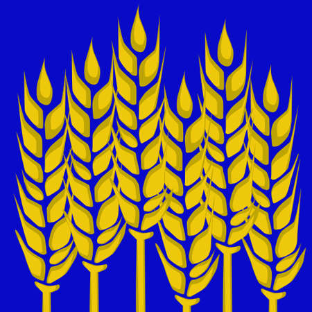 Illustration of wheat spikelets on a blue background.のイラスト素材