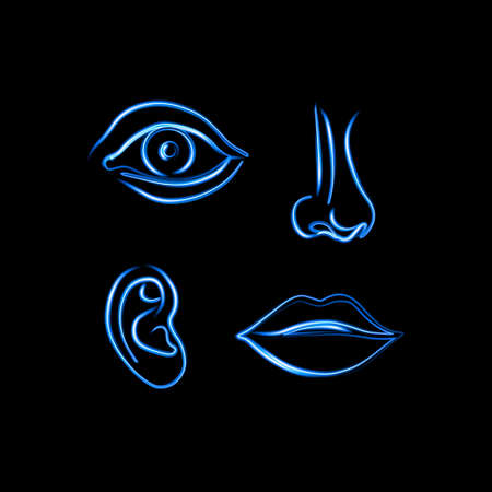 Set of human organs with neon effect.のイラスト素材