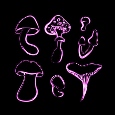 Set of various mushrooms with neon effect.の写真素材