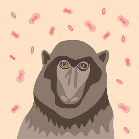 Vector illustration on the theme of monkey pox.のイラスト素材