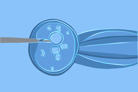 Vector isolated illustration of artificial insemination under a microscope. Donation of egg cells. Egg freezing.のイラスト素材