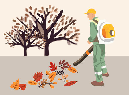 Vector isolated illustration of cleaning autumn leaves. A municipal service worker removes autumn leaves with a vacuum cleaner.のイラスト素材