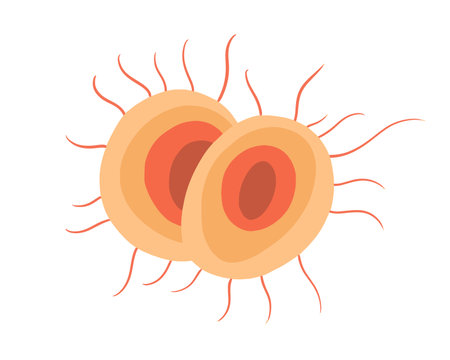 Vector isolated illustration of gonorrhea pathogen under a microscope. Gonorrhea bacteria. Ð¡ausative agent of gonorrhea.のイラスト素材