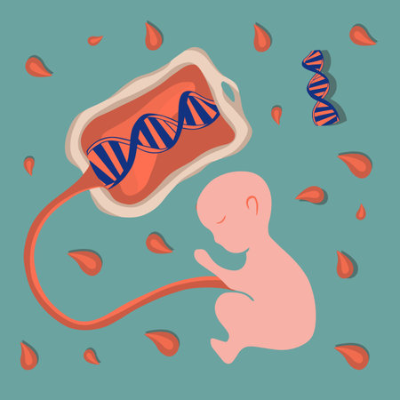Vector isolated illustration of umbilical cord blood. Stem cells. Freezing stem cells. Collection of umbilical cord blood.のイラスト素材
